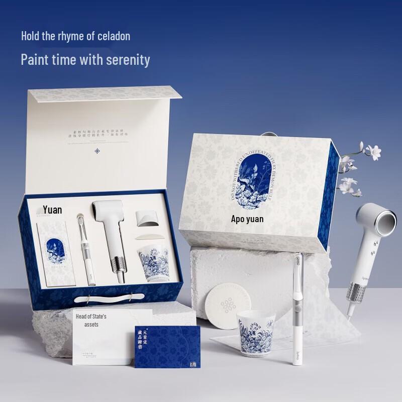 ApiYoo T24 Electric Toothbrush & Hair Dryer Gift Set