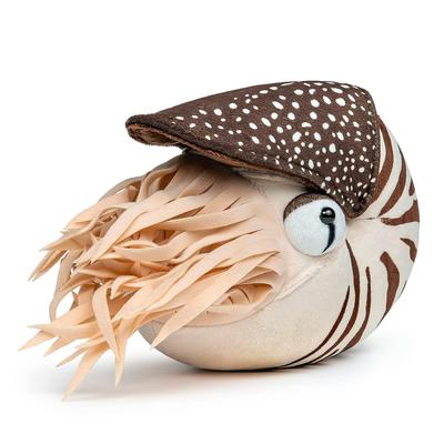 Realistic Nautilus Plush Toy - Simulation Lifelike 8 Inch Nautilus Stuffed Animal Toy Soft Sea Creature Unique Plush Model Doll Collection for Kids