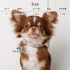Reflective Dog Collar Popular Brand for Toy and Small Perfect for Walking monchéri [Mixed Color] (Cream/FREE) Cute, Stylish, Poodles, Chihuahuas,