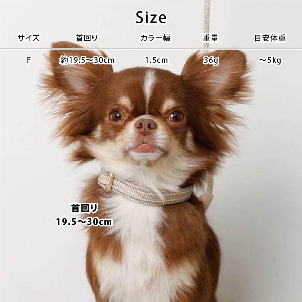 Reflective Dog Collar Popular Brand for Toy and Small Perfect for Walking monchéri [Mixed Color] (Cream/FREE) Cute, Stylish, Poodles, Chihuahuas,