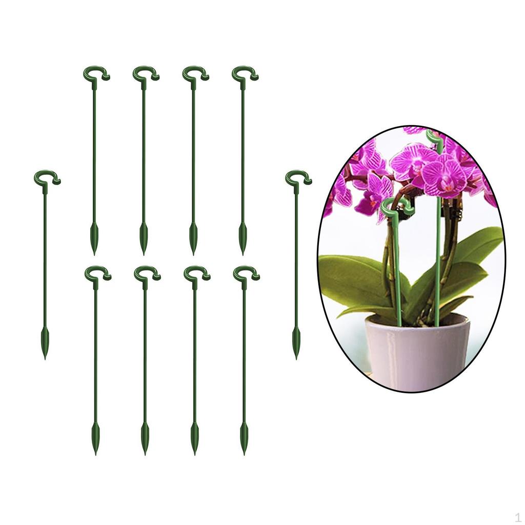 Support Stakes Roses Lilies