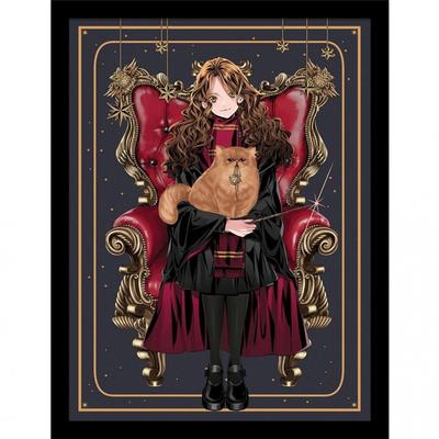 Harry Potter: Poster con cornice della sedia Hermione della dinastia Wizard