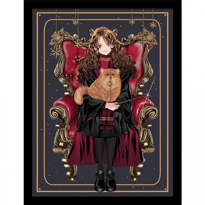 Harry Potter: Poster înrămat Scaun Hermione Dinastia Vrăjitorilor