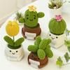 Crochet Cactus Potted Plants, Handmade Knitted Cactus for Home Office Car Decoration, Decorative Plants for Lasting Beauty, Gift for Women Family