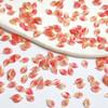 New Luminous Leaf Versatile Nail Art Decorations 3D Soft Carving Multi-Color Nail DIY Wearable Nail Decoration Materials