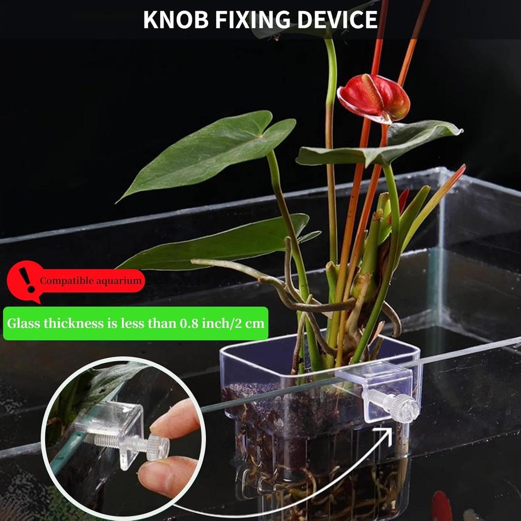 1PC Hydroponic Planting Cup Household Water Grass Planting Cup Wall Mounted High Transparent Fish Tank Landscape Decoration