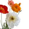 Flori Artificiale Faux Papaver Rhoeas de 41,34 Inch cu Tulpină Lungă Maci de Câmp Fals Realist pentru Vază de Podea Decor Interior Acasă Eveniment de Nuntă
