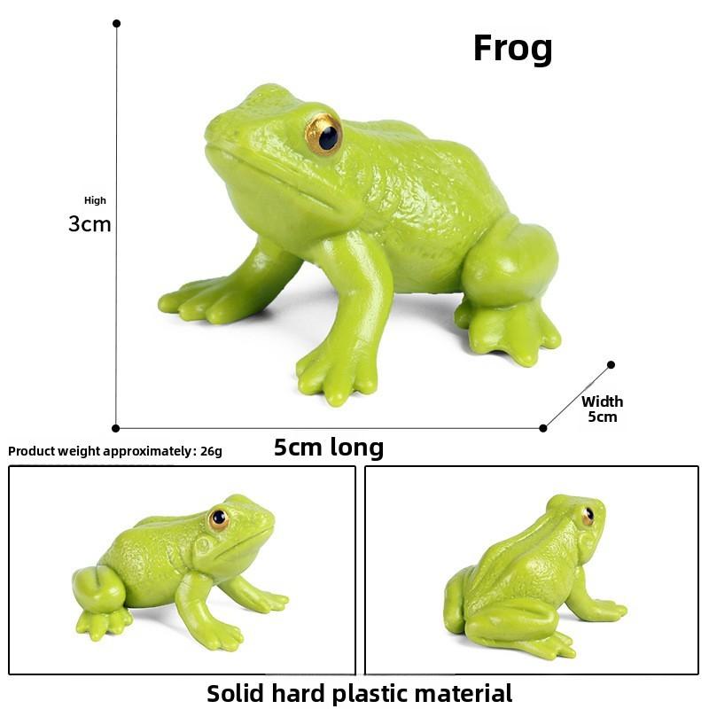 Animal Childrens Frog Plastic Model Toy For Educational Play Gift Collectors