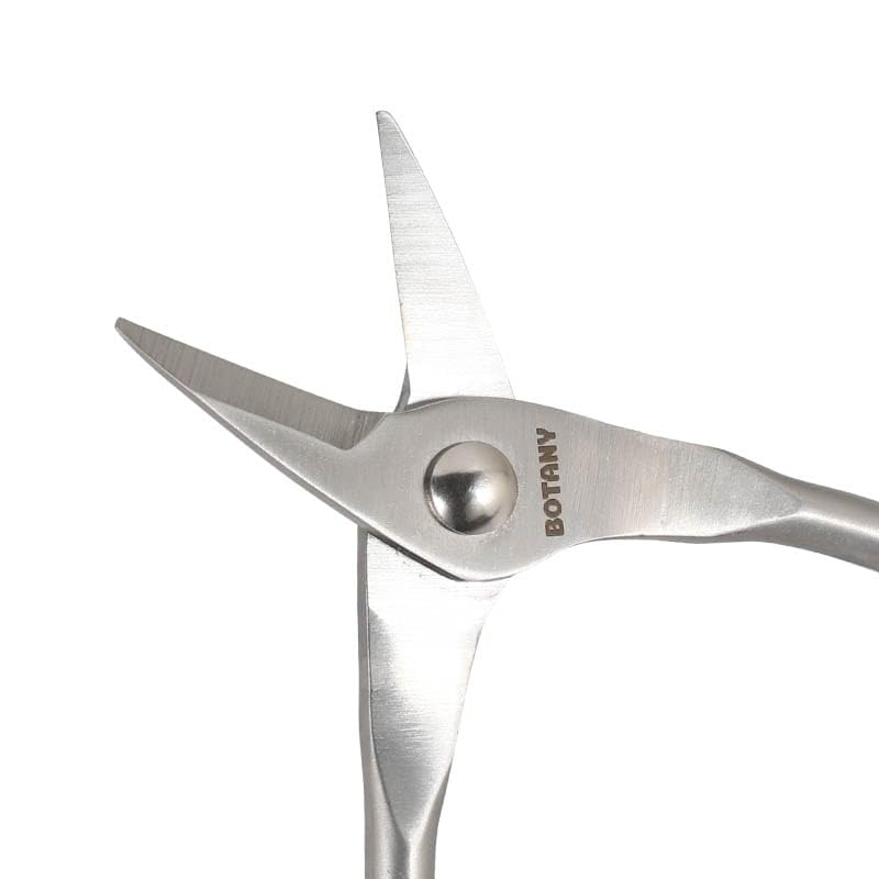 Dulton Botany Pruning Scissors A stylish stainless steel design that even plants will BOTANY pruning shears for branch and plant Length Width S love.