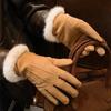 Suede Brown Plush Gloves Women's Autumn and Winter Thickened Plush Warm and Cold Outdoor Riding Gloves
