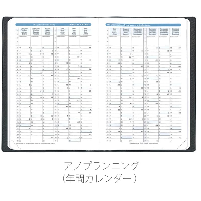 Quo Vadis 2026 Edition Planner Diary "Sapax/Ampara" (Weekly Separation, January Start, A6 Variant, 10x15cm, 4 Languages), Red (qv98501rd)