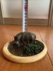 [USED] Hippopotamus figure/diorama