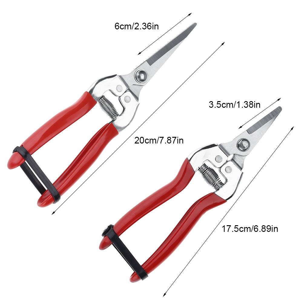 Plant Pruning Tool Made of Stainless Steel Sturdy / Durable Sharp Gardening Scissors For Fruit Tree / Bonsai Care