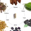 Kapiva Dia Free Ayurvedic Capsules For Daily Metabolic Wellness Energy Balance And Herbal Nutrition Support Pack Of 1 60 Capsules