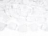 Tube with Rose Petals, White, 40cm 1 pc