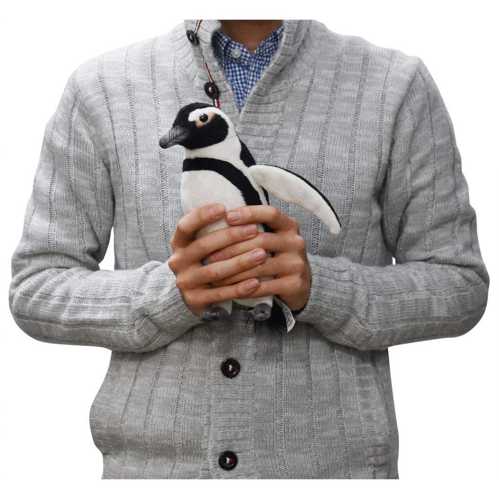 Cape Penguin 21 BH7084