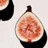 Fig Perfume Body Wash 300ml