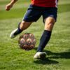 1pc Autumn Peacock Garden Theme Soccer Ball Football, Size 5, Lightweight PVC, Outdoor Training Soccer Ball,Sports Gift T61479