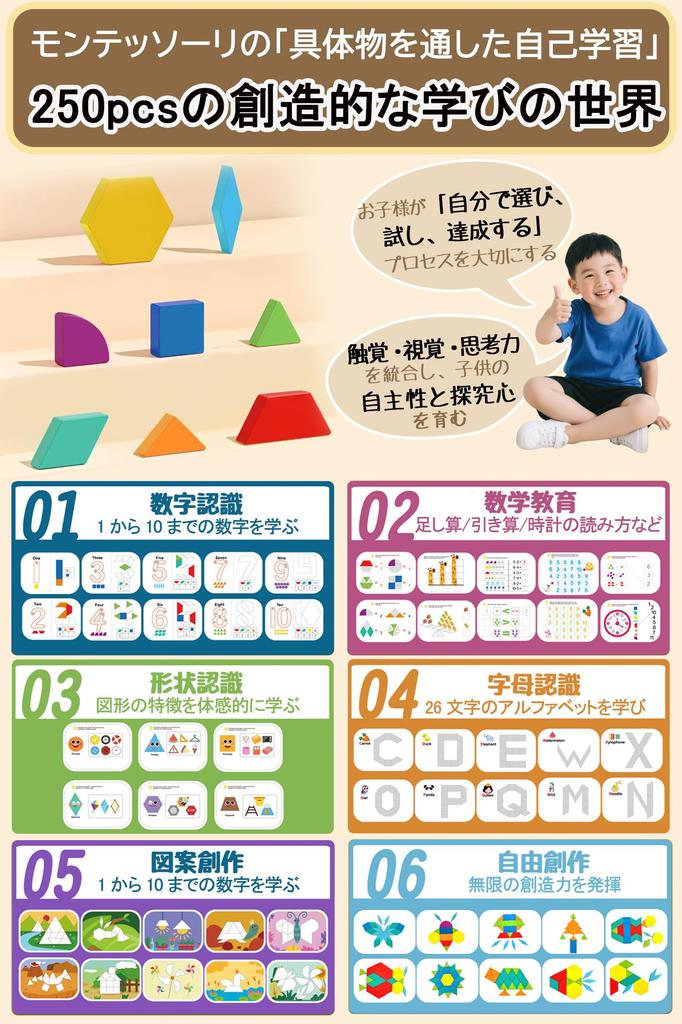 JUYEE Educational Toy, Magnetic Puzzle Set of 250 for Ages 3, 4, 5, and 6, Montessori Style for Babies and Boys, Preparing for School, Color and