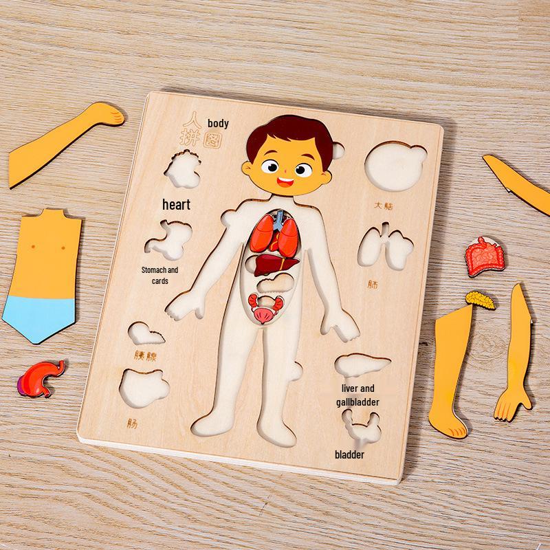 Wooden Human Anatomy Puzzle: Toddler Educational Toy for Self-Awareness and Science Learning
