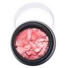 1 Box Nail Decoration Small Shells Debris Nail Modification 6 Color Nail Bueaty Nail Art