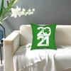 St. Patrick's Day Shamrock Throw Pillow Cover Cushions for Sofa Irish Saint Paddys Leprechaun Clover Holiday Cushion Covers