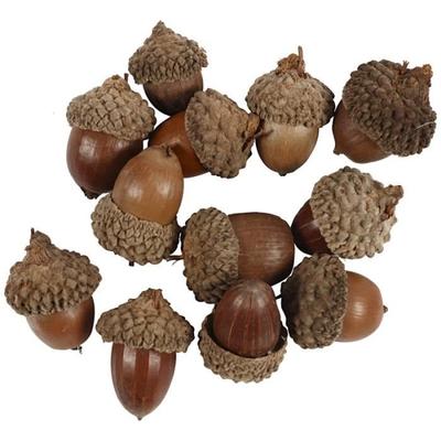 Decorative Acorns - 15 To 20 Mm - 12 Pcs - White - Straw - Interior