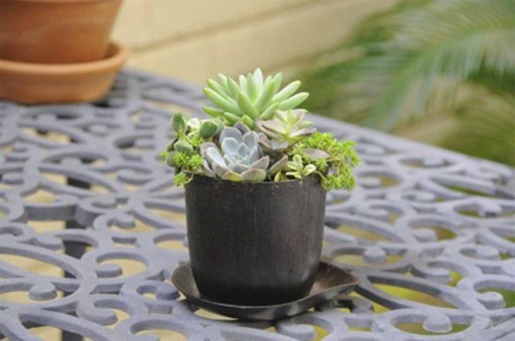 Daiwa Plastic PON De Eco Pot No. 3 White