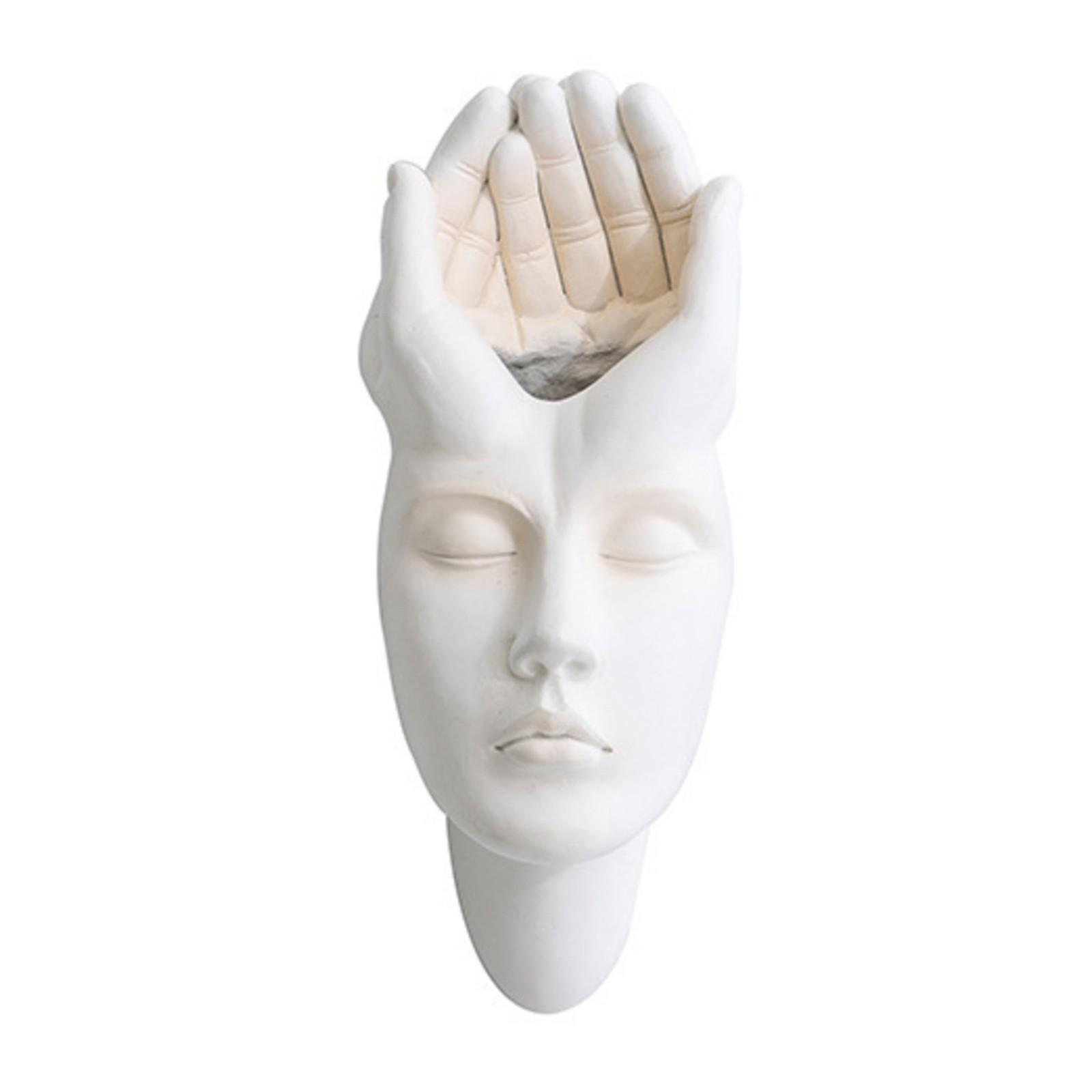 Face Vase Resin Face Planter Pot Modern Sculpture White Planter Pot Wall Mounted Face Head Planter Ornament DecoracióN Hogar (as the picture,One Size)