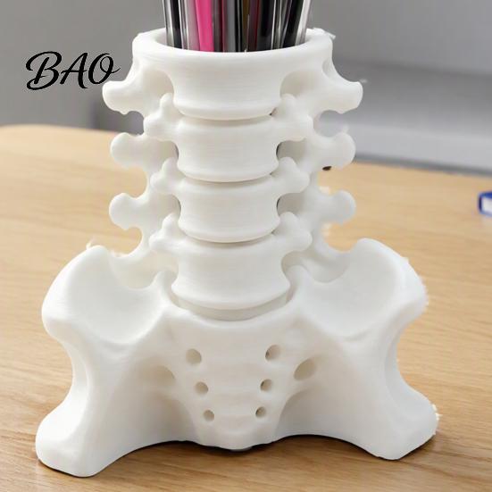 Realistic Pelvis Base Simulated Spine Pen Holder, Creative Skeleton Desktop Organizer, Durable Organizer PLA 3D Printed Anatomy Ornament for