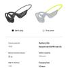 Lanston BE20 Amphibious Bone Conduction Sports Headphones