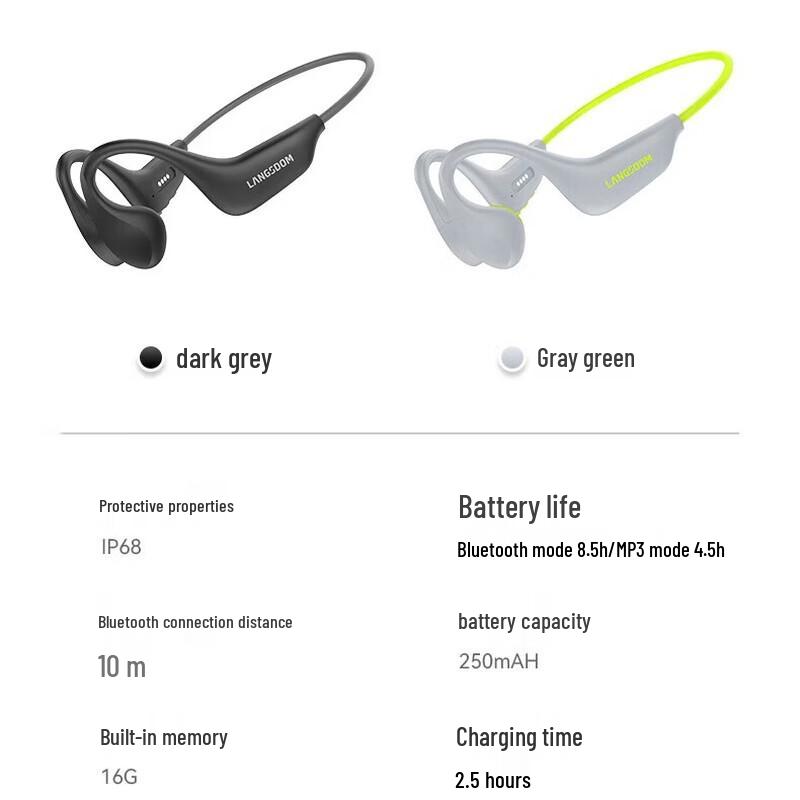Lanston BE20 Amphibious Bone Conduction Sports Headphones