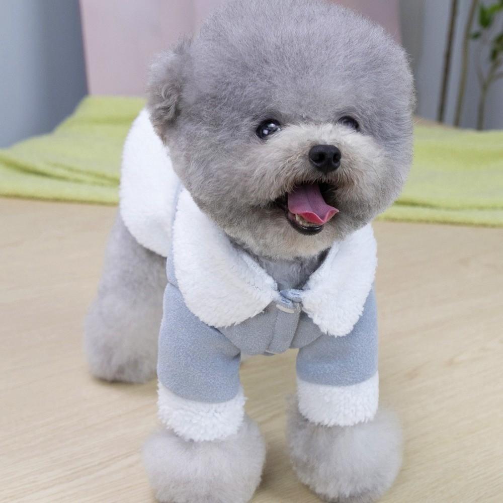Winter Warm Dog Coat Suede Pet Clothes Cute Puppy Winter Skirt Small Dogs