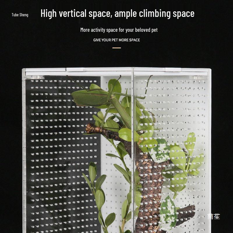 Reptizoo Acrylic Insect Habitat: Bamboo Cage for Cicadas, Mantises, and Crickets