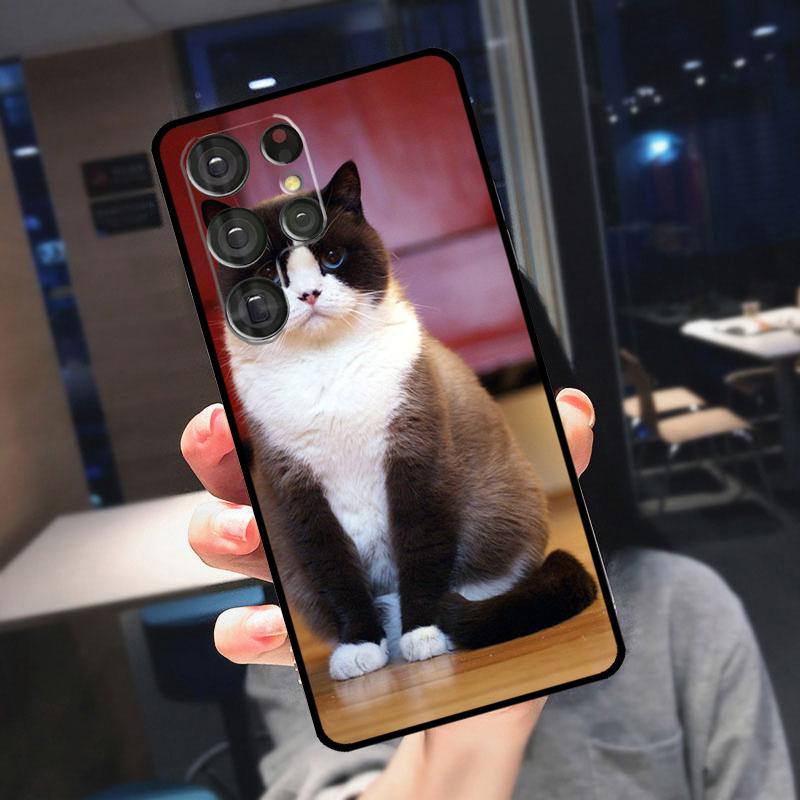 British Shorthair Cat Cover For Samsung Galaxy S25 Ultra S24 S22 S21 S23 Plus S20 FE S9 S10 S24 FE Phone Case