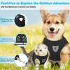 Polyester Pet Chest Strap Mesh Pet Vest Harness Dog Cat Accessories Cat Dog Harness  Pet