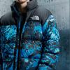 The North Face Piumino Invernale Unisex Blu 1996 NF0A3C8D-TPZ