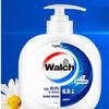 Walch Healthy Disinfectant Hand Wash