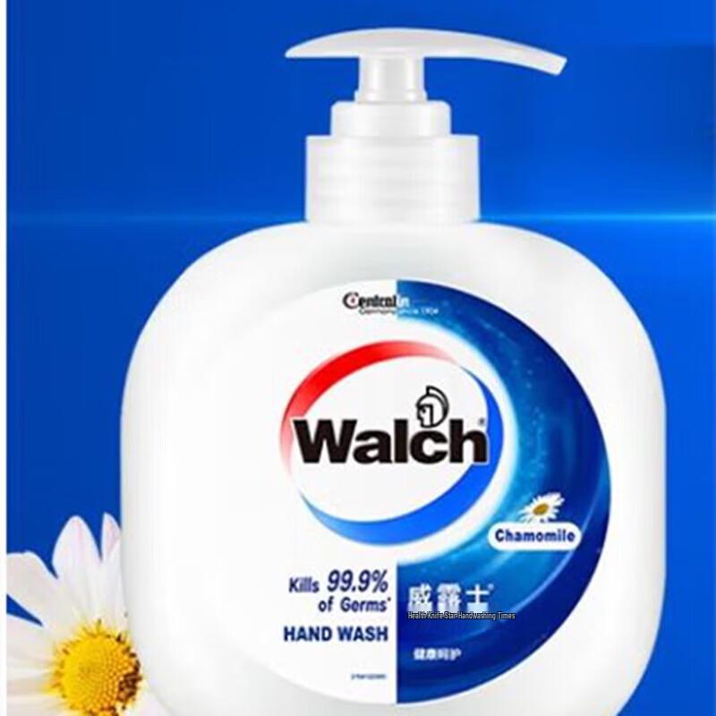 Walch Healthy Disinfectant Hand Wash