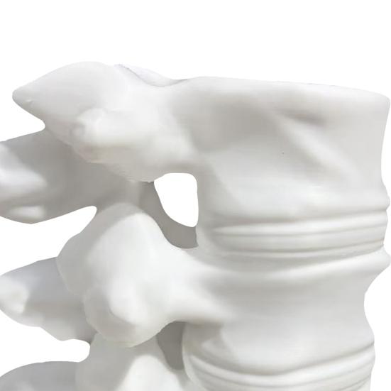 Spine Shape Pen Holder 3D Printing Ornaments Practical Desktop Storage Lumbar Spine Model Container for Orthopedic Students
