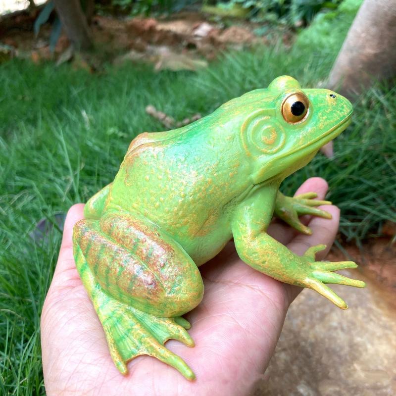 1Pcs Hand Painted Amphibious Animal Figurine Educational Realistic Toad Frog Figure Rubber Animal Model Toy For Kids