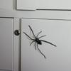 Halloween Decorative spider gag ornaments Party Props Outdoor Spider Decor Creepy Crawly Decor for Indoor House Garage Outdoor