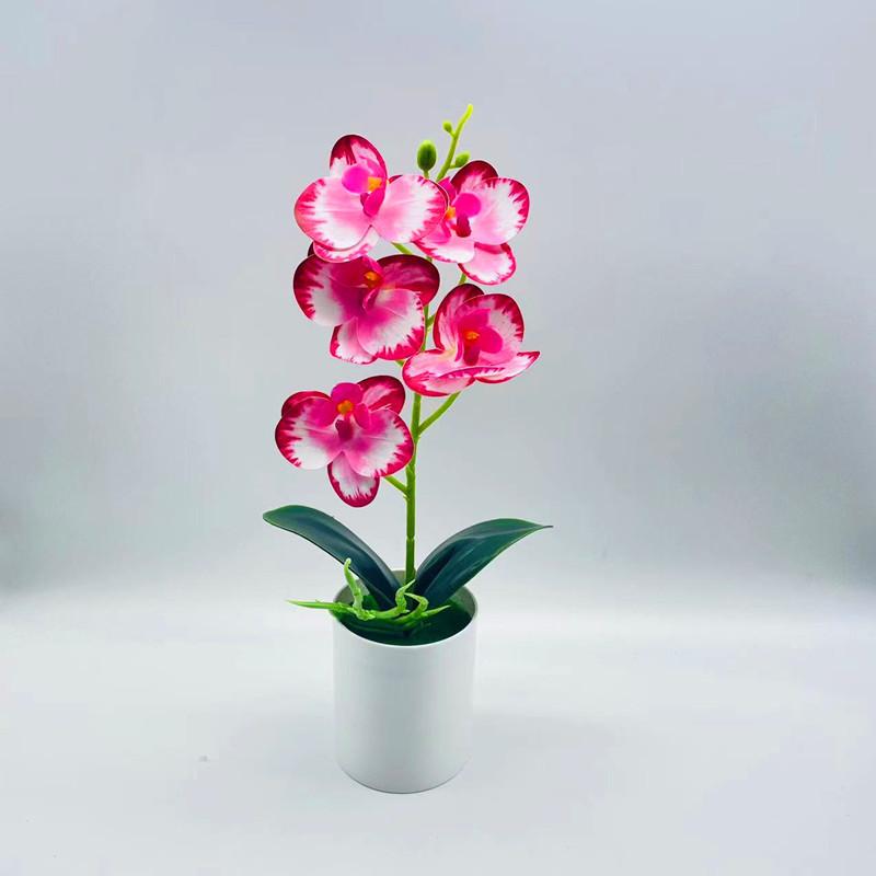 Artificial Phalaenopsis Aphrodite Potted Plant With Creative Design Bedroom For