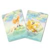 Pokemon Center Original Pokemon Card Game Deck Case Kasumi Kodak &