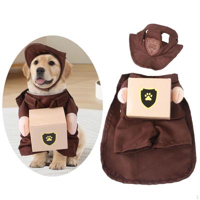 Gatos – Roupa para gatos