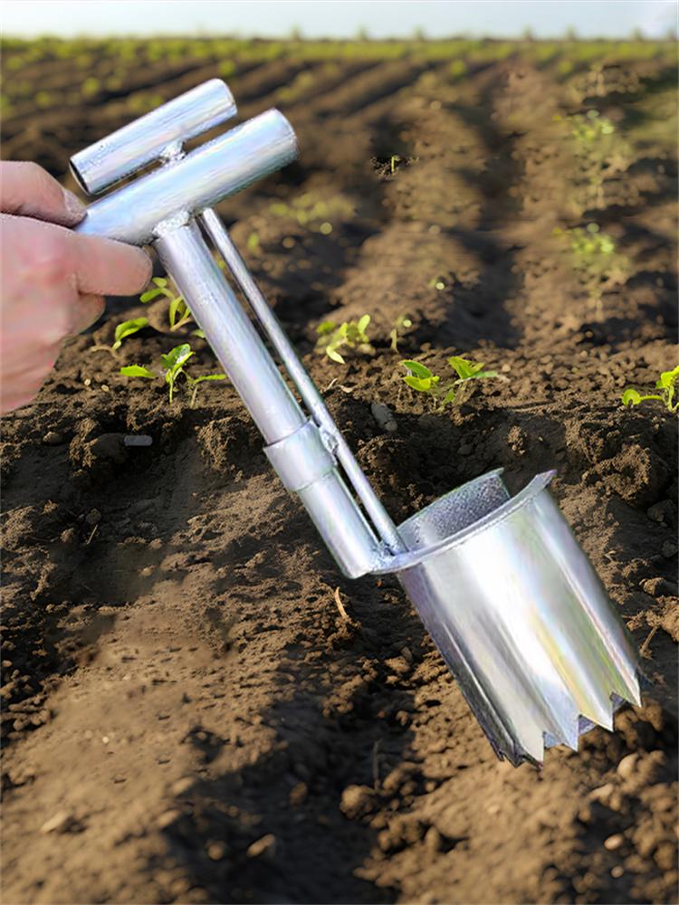 Pflanzen- und Obstbaum-Setzling-Umpflanzer Metalllegierung Bodenprobennehmer Handheld Gartenfass-Umpflanzer Landwirtschaftlicher Stecher