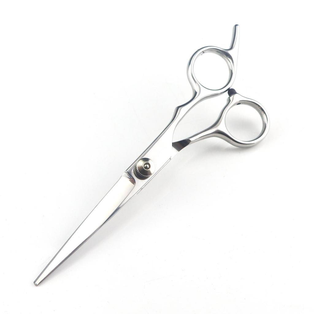 6.0-Inch Color Hairdressing Scissors Set: High Screw, Straight, Serrated, Thinning Scissors