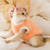 Imitation mink spring dog bipedal dog clothes warm autumn and winter small dog clothing cat clothes spring