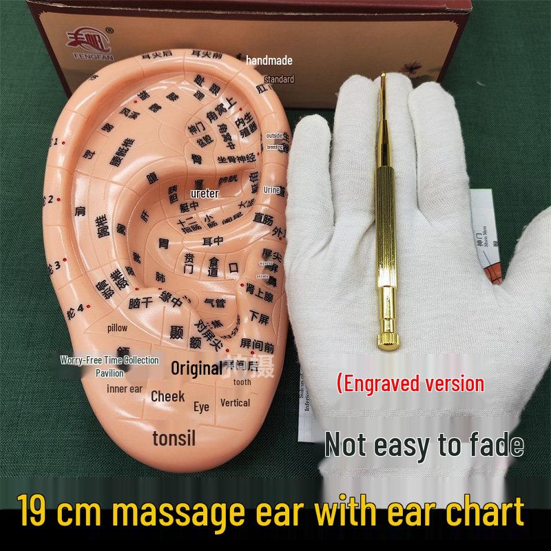 Large 19cm Acupoint Ear Massage Pen with Engraved Spring Probe and Ear Chart