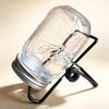 Seed Sprouting Glass Mason Jar with Stainless Steel Lid and Stand
